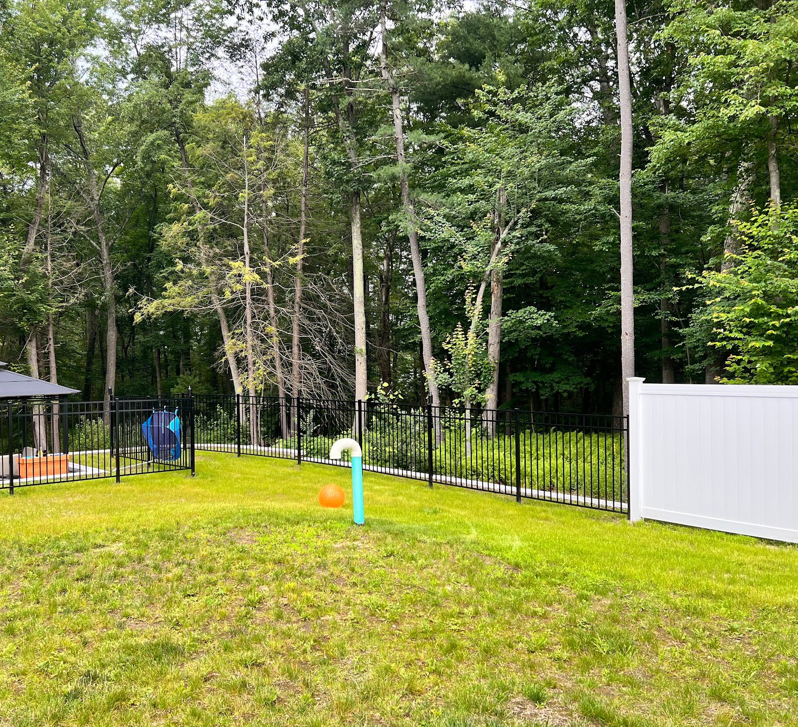 Black ornamental aluminum fence bordering a lawn installed by Santos and Sons